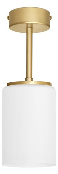 Niska złota lampa sufitowa KR-S1B