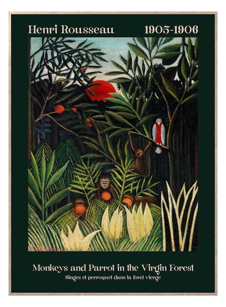 Obraz 50x70 cm Virgin Forest – Styler