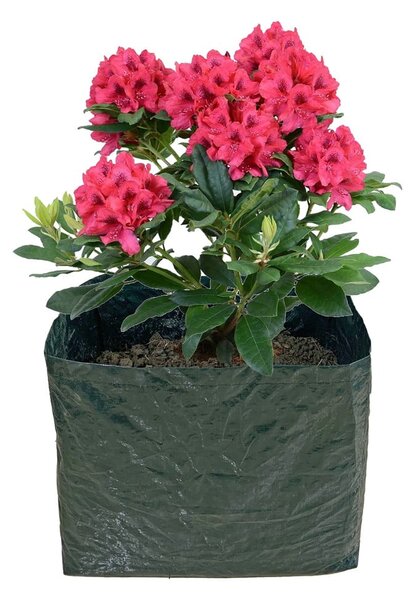 Podwyższona grządka – Garden Pleasure