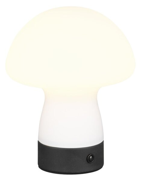 Lampa stołowa LED w matowym białym kolorze ze szklanym kloszem (wysokość 18 cm) Dooley – Reality