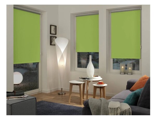 Jasnozielona roleta 42,5x150 cm Mini Termo – Gardinia