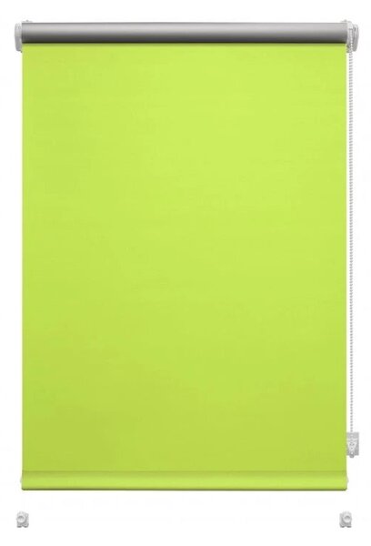Jasnozielona roleta 42,5x150 cm Mini Termo – Gardinia