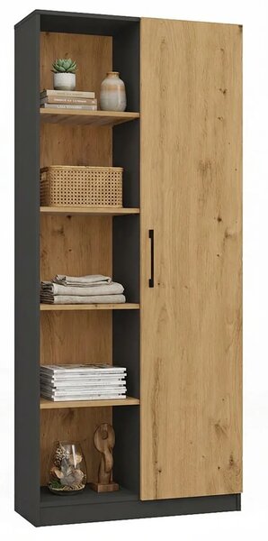 Regał Z Półkami Do Salonu Dąb Artisan + Antracyt C2-C51