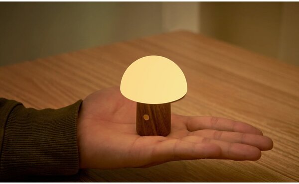 Biała/w ciemnym naturalnym kolorze lampa stołowa LED (wysokość 7 cm) Alice Mushroom – Gingko