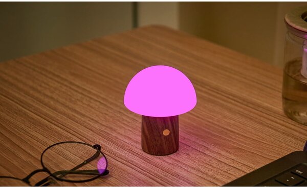 Biała/w ciemnym naturalnym kolorze lampa stołowa LED (wysokość 7 cm) Alice Mushroom – Gingko