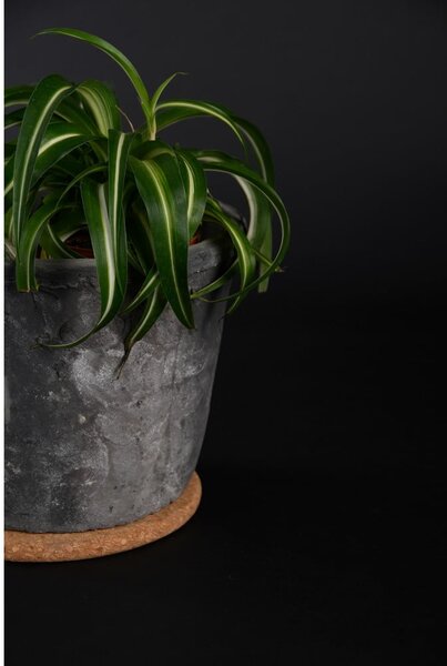 Korkowa podstawka pod doniczkę ø 18 cm – Esschert Design
