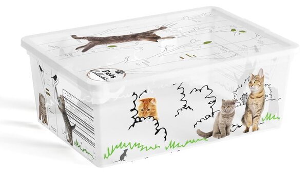 Biały plastikowy pojemnik z pokrywką 37x26x15 cm C Box Style – KIS