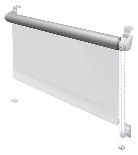 Biała roleta 42,5x150 cm Mini Termo – Gardinia