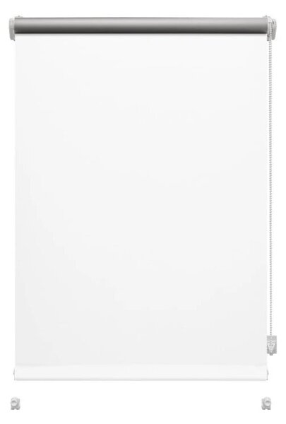 Biała roleta 42,5x150 cm Mini Termo – Gardinia