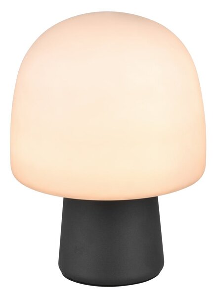 Czarno-biała lampa stołowa ze szklanym kloszem (wysokość 27 cm) Steen – Trio