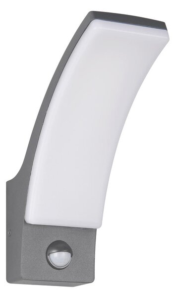 Zewnętrzna lampa ścienna LED (wysokość 22,5 cm) Beja – Reality