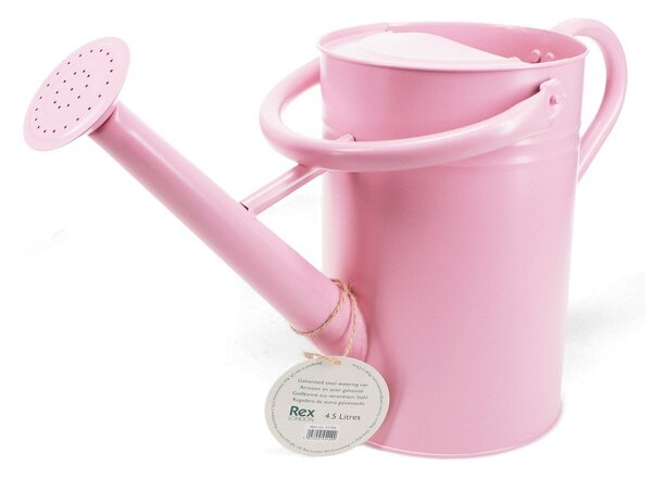 Metalowa konewka 4,5 l – Rex London