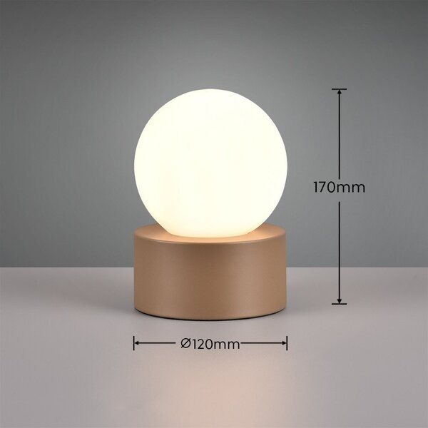 Biało-brązowa lampa stołowa (wys. 17 cm) Countess – Reality
