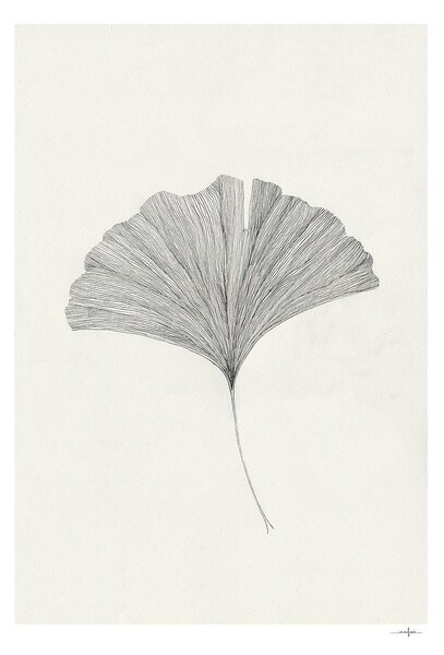 Plakat 50x70 cm Ginkgo Leaf – Ana Frois – The Poster Club