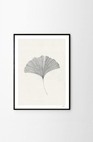 Plakat 50x70 cm Ginkgo Leaf – Ana Frois – The Poster Club