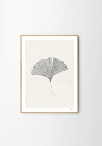 Plakat 50x70 cm Ginkgo Leaf – Ana Frois – The Poster Club