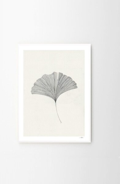 Plakat 50x70 cm Ginkgo Leaf – Ana Frois – The Poster Club