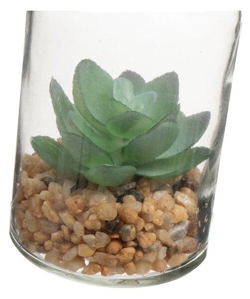 Sztuczne rośliny zestaw 4 szt. (wysokość 12 cm) Cactus – Casa Selección