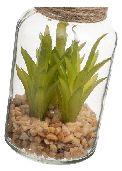 Sztuczne rośliny zestaw 4 szt. (wysokość 12 cm) Cactus – Casa Selección