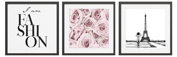 Obrazy zestaw 3 szt. 30x40 cm Parisienne – Styler