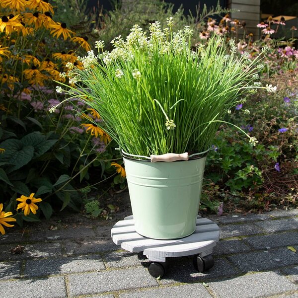 Drewniany kwietnik na kółkach ø 29 cm (wysokość 8 cm) Indoor & Outdoor – Esschert Design