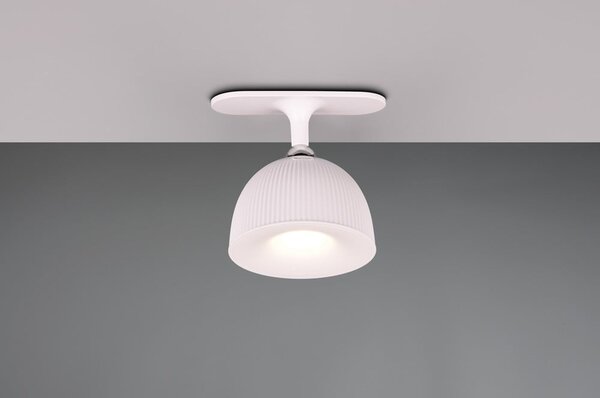 Biała lampa stołowa LED ze ściemniaczem i klipsem (wys. 41 cm) Maxima – Reality