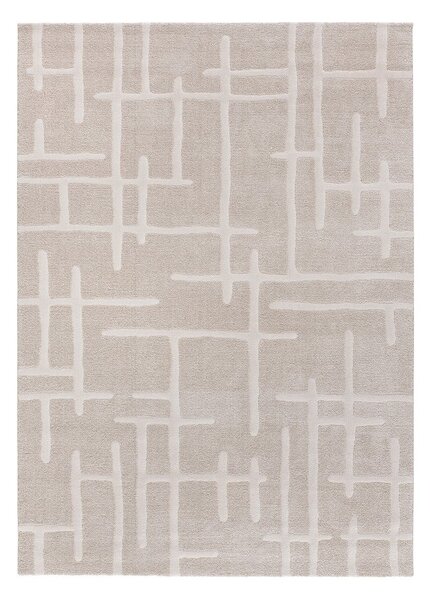 Beżowy dywan 80x150 cm Caledonia – Universal