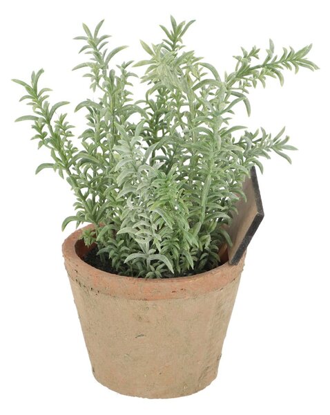 Sztuczna roślina (wysokość 21,5 cm) Thyme – Esschert Design