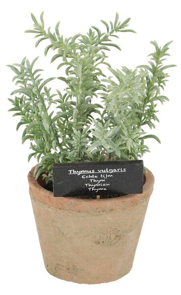 Sztuczna roślina (wysokość 21,5 cm) Thyme – Esschert Design