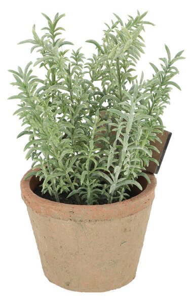 Sztuczna roślina (wysokość 21,5 cm) Thyme – Esschert Design