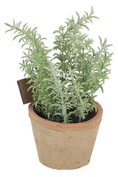 Sztuczna roślina (wysokość 21,5 cm) Thyme – Esschert Design