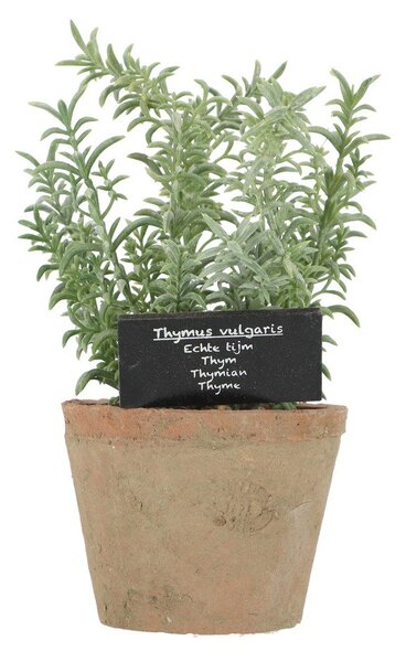Sztuczna roślina (wysokość 21,5 cm) Thyme – Esschert Design