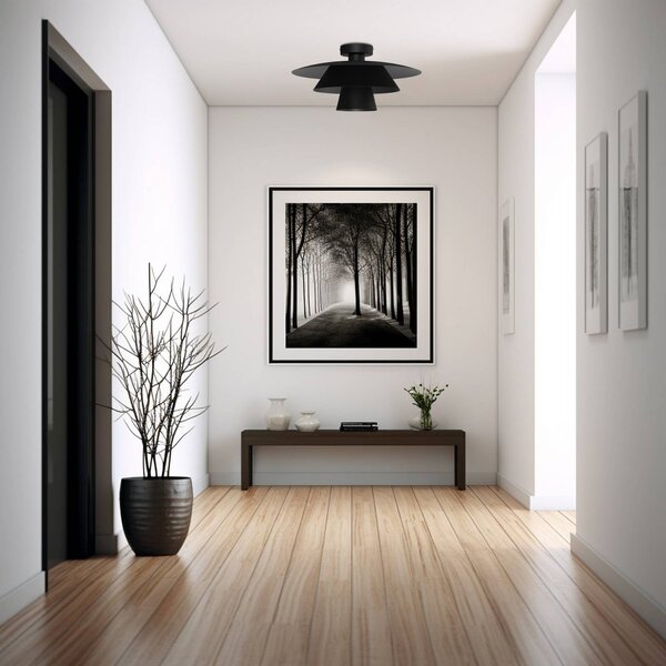 Lampa sufitowa Plato Luminex, możliwość ściemniania, czarny, salon / jadalnia, metal, nowoczesny