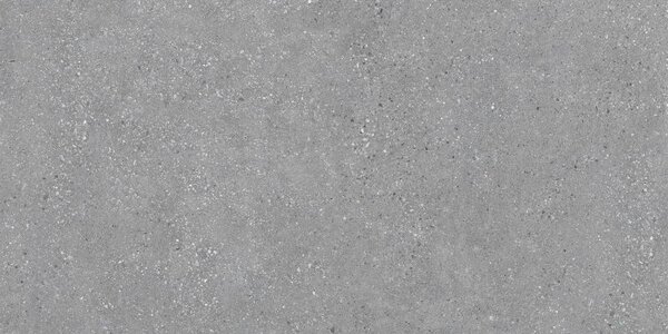 Mexen Inspira Grey gres szkliwiony rekt. G1, płytka podłogowo-ścienna 120 x 60 cm, mat - TL303-120-060-02