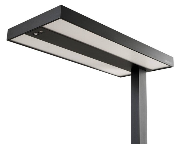 Lampka z klipsem Logan Arcchio, możliwość ściemniania, czarny, biuro, aluminium, nowoczesny