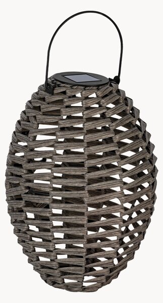 Solarna lampa LED Pamela
