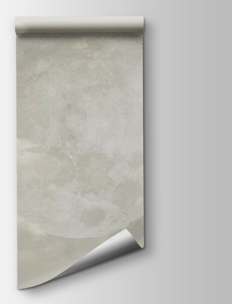 Fototapeta Pełnia księżyca w chmurach, Fototapety Niebo, Popularne Fototapety, t00833 - Tapeko.pl