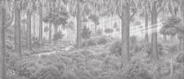 Fototapeta Las z drzewami i roślinami, Fototapety Natura, Popularne Fototapety, t00834v1 - Tapeko.pl