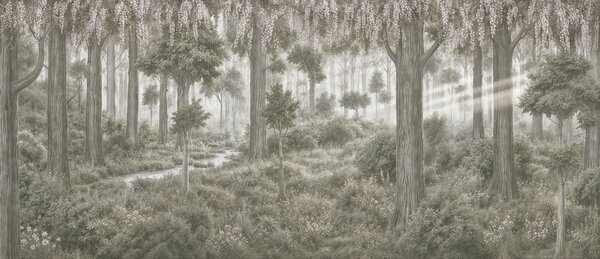 Fototapeta Obraz przedstawiający las z drzewami i roślinami, Fototapety Natura, Popularne Fototapety, t00834v2 - Tapeko.pl