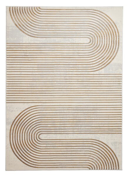 Dywan w jasnoszaro-złotym kolorze 80x150 cm Apollo – Think Rugs