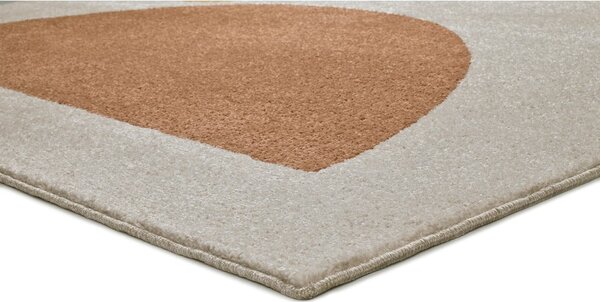 Dywan Universal Domus, 120x170 cm