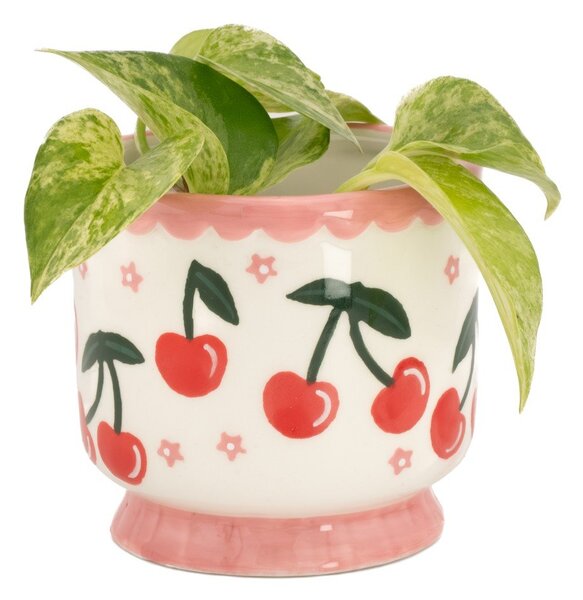 Ceramiczna osłonka na doniczkę ø 7,5 cm Fruit – Sass & Belle