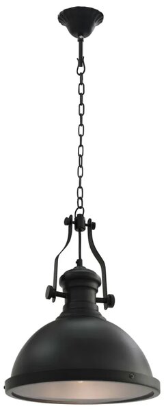 Czarna Industrialna Lampa Sufitowa M5-F01