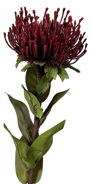Sztuczny kwiat (wysokość 74 cm) Protea – Ego Dekor