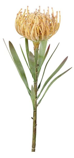 Sztuczny kwiat (wysokość 43 cm) Protea – Ego Dekor