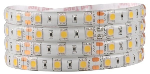 Taśma LED 12V 5m IP65 4000K 2200lm 309051 Polux