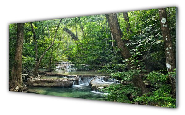 Obraz Szklany Leśny Las Natura Przyroda
