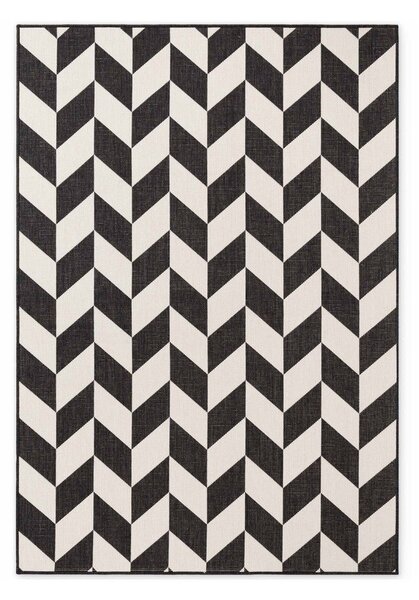 Czarno-kremowy dywan odpowiedni na zewnątrz 120x170 cm Haringey Terrick – Ted Baker
