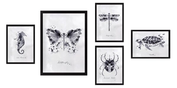 Obrazy zestaw 5 szt. Butterfly – Wallity