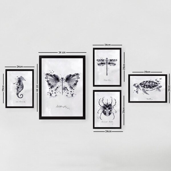 Obrazy zestaw 5 szt. Butterfly – Wallity
